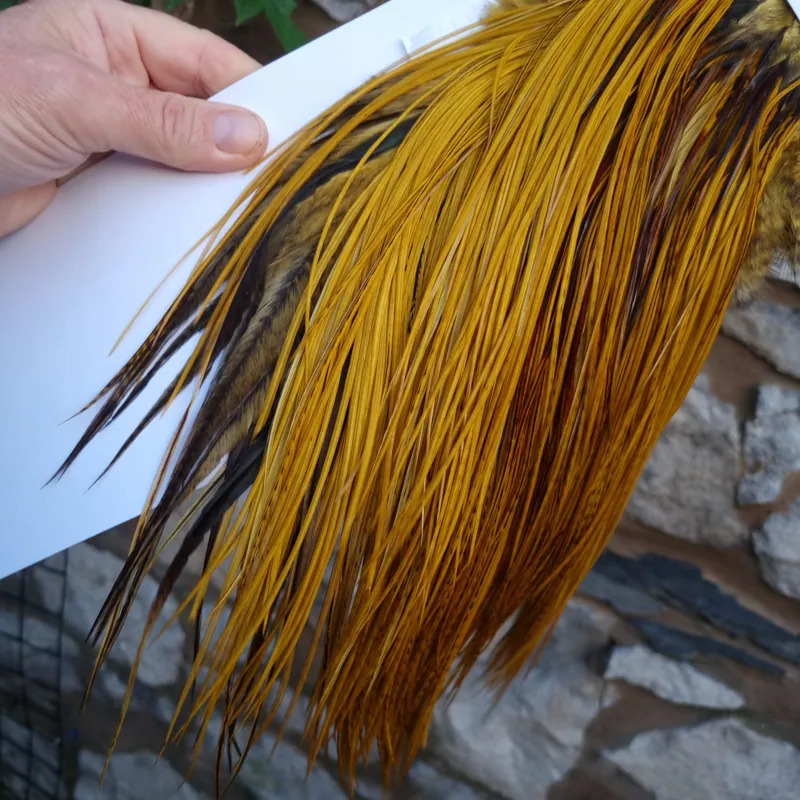 Whiting Pro-Grade Midge Rooster Saddle in THE DYE MASTERS Range Golden Olive Variant E